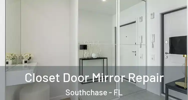  Closet Door Mirror Repair Southchase - FL