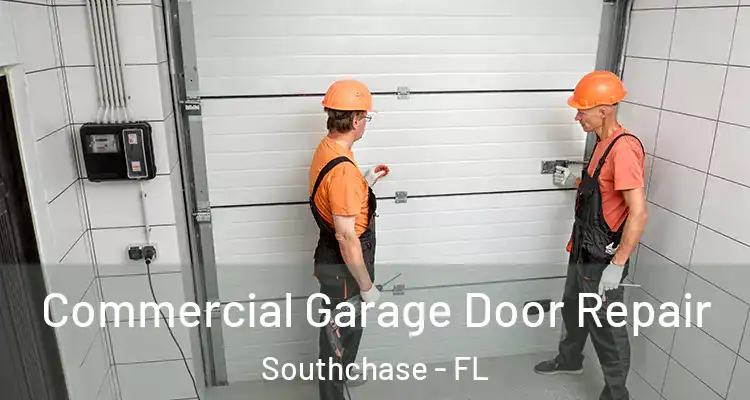  Commercial Garage Door Repair Southchase - FL