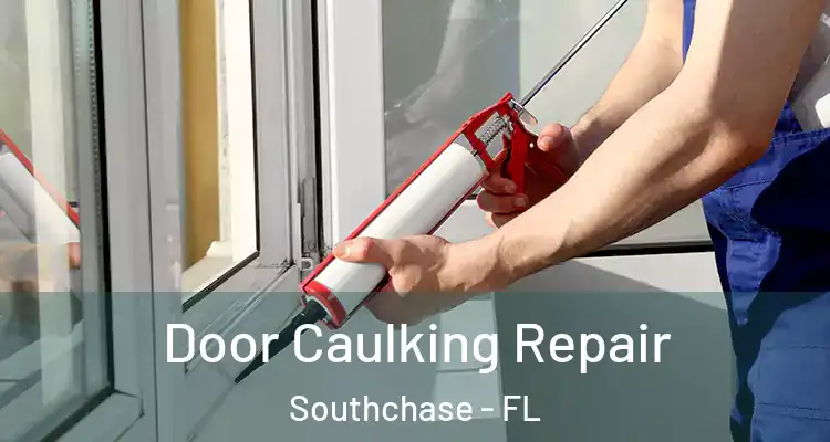  Door Caulking Repair Southchase - FL