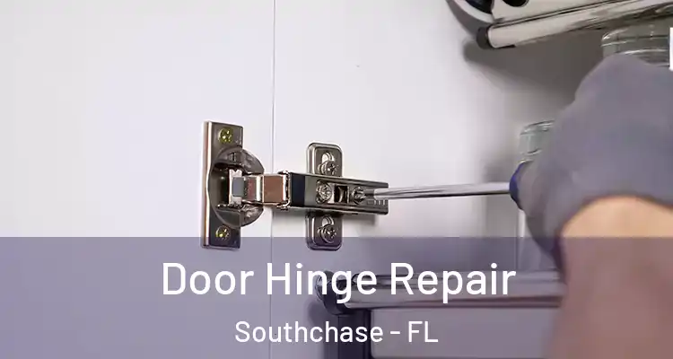  Door Hinge Repair Southchase - FL