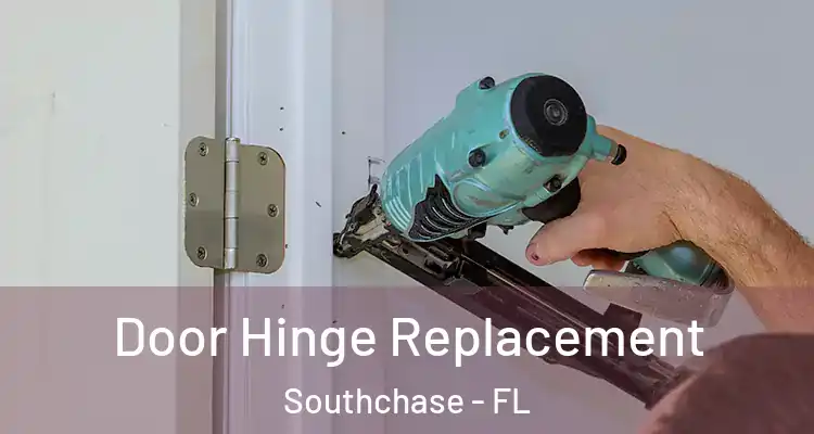  Door Hinge Replacement Southchase - FL