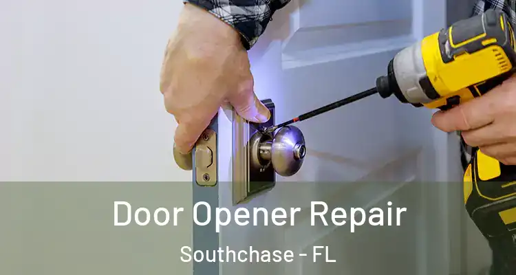  Door Opener Repair Southchase - FL