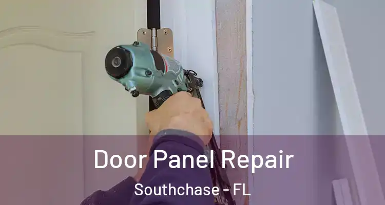  Door Panel Repair Southchase - FL