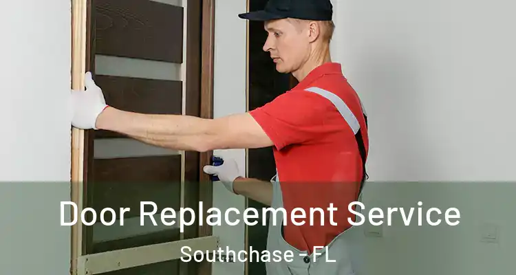  Door Replacement Service Southchase - FL