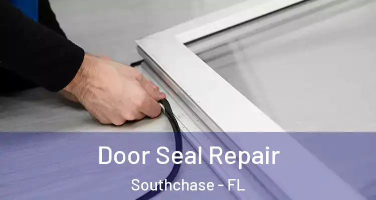  Door Seal Repair Southchase - FL