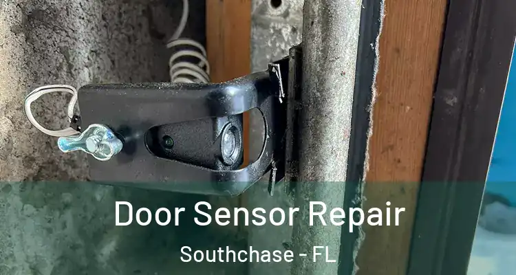  Door Sensor Repair Southchase - FL