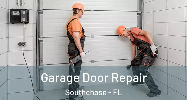  Garage Door Repair Southchase - FL
