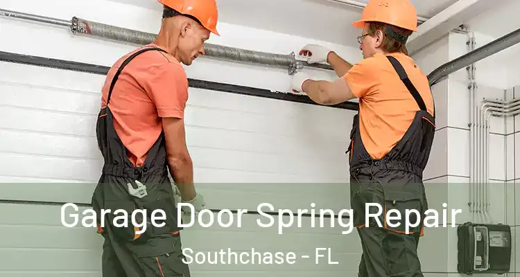  Garage Door Spring Repair Southchase - FL