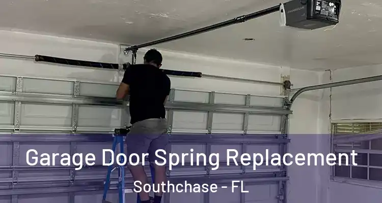  Garage Door Spring Replacement Southchase - FL