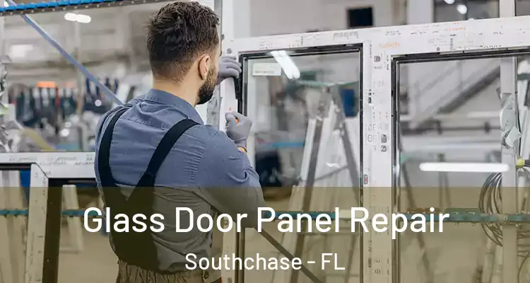  Glass Door Panel Repair Southchase - FL