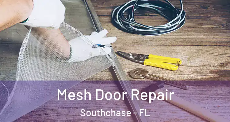  Mesh Door Repair Southchase - FL