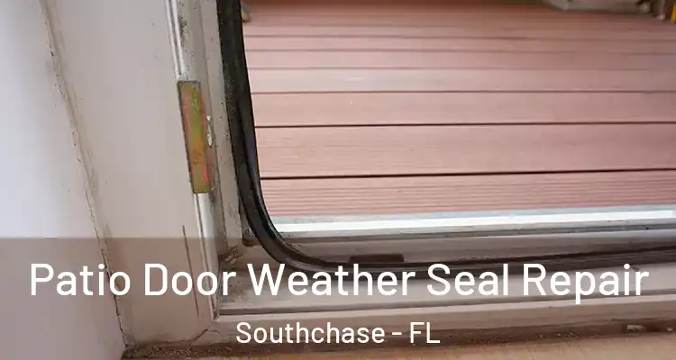  Patio Door Weather Seal Repair Southchase - FL