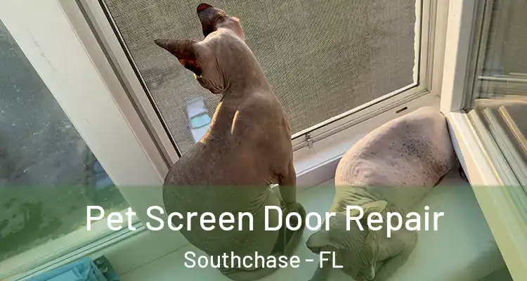  Pet Screen Door Repair Southchase - FL