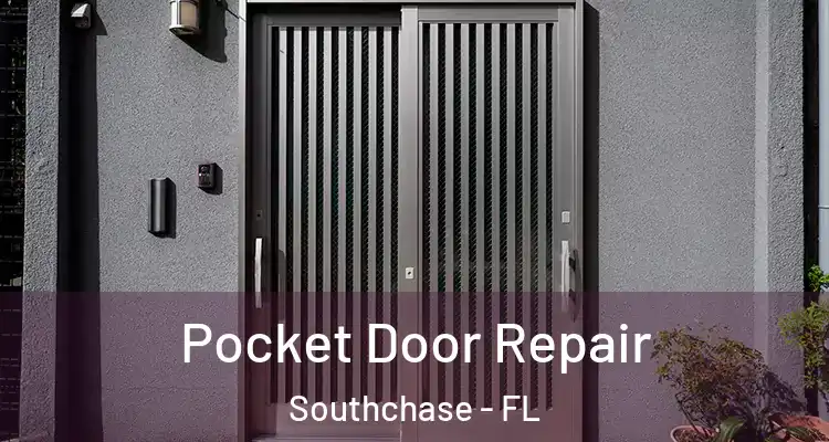  Pocket Door Repair Southchase - FL