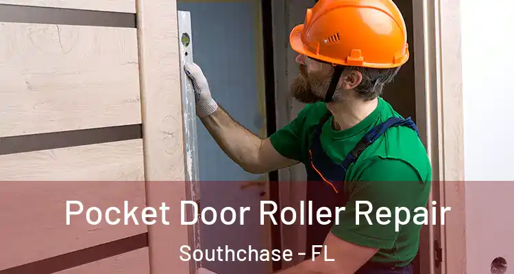  Pocket Door Roller Repair Southchase - FL