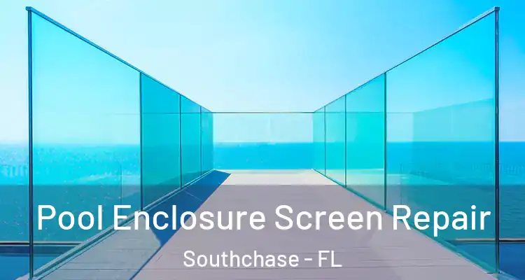  Pool Enclosure Screen Repair Southchase - FL