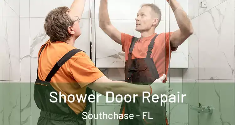  Shower Door Repair Southchase - FL
