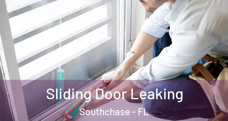  Sliding Door Leaking Southchase - FL