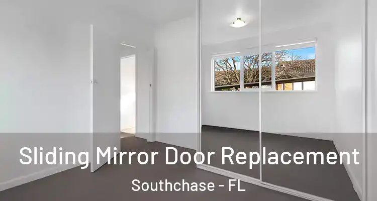  Sliding Mirror Door Replacement Southchase - FL