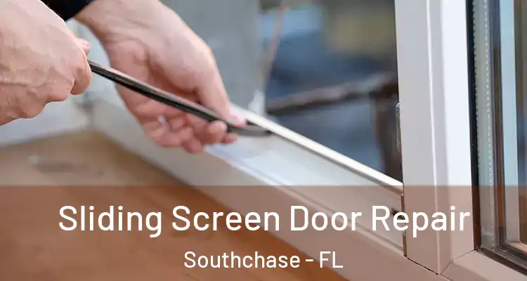  Sliding Screen Door Repair Southchase - FL