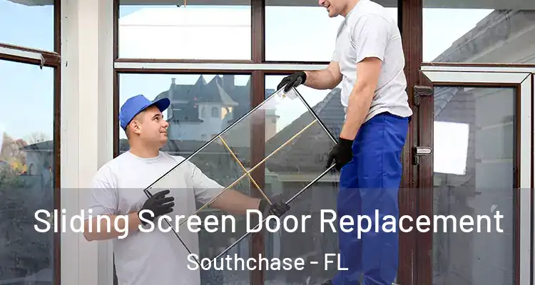  Sliding Screen Door Replacement Southchase - FL