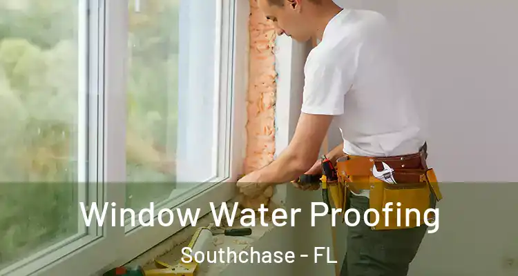  Window Water Proofing Southchase - FL